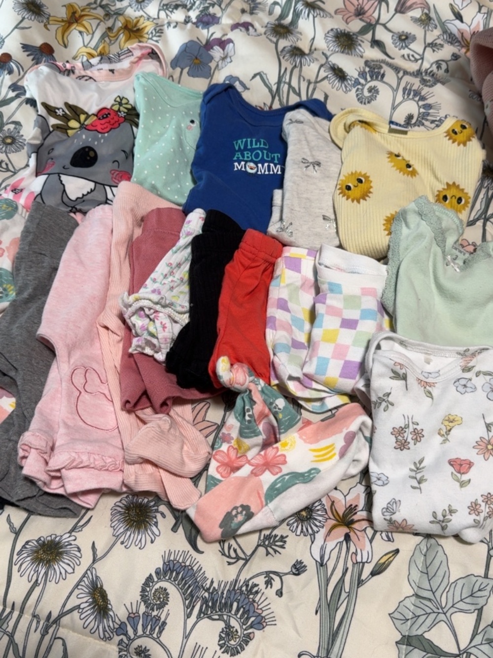 Baby girl clothing bundle